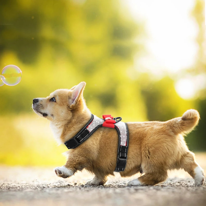 Peitoral Refletivo com Laço de Strass para Cães – Nylon Resistente, Estilo Bling e Alta Visibilidade | Para Raças Pequenas e Médias