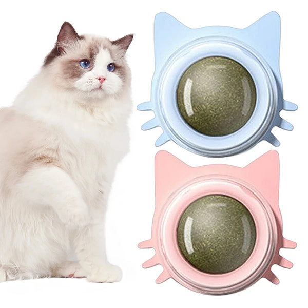 Brinquedo de Catnip Giratório para Gatos – Bola Lamber e Mastigar | Fixação na Parede, Alívio do Estresse e Limpeza Dental