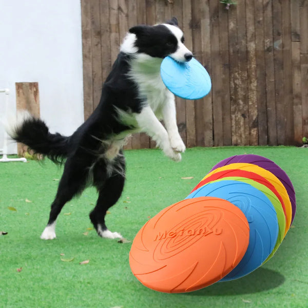 Disco Voador para Cães – Resistente à Mordida | Brinquedo Interativo para Treinamento e Atividades ao Ar Livre